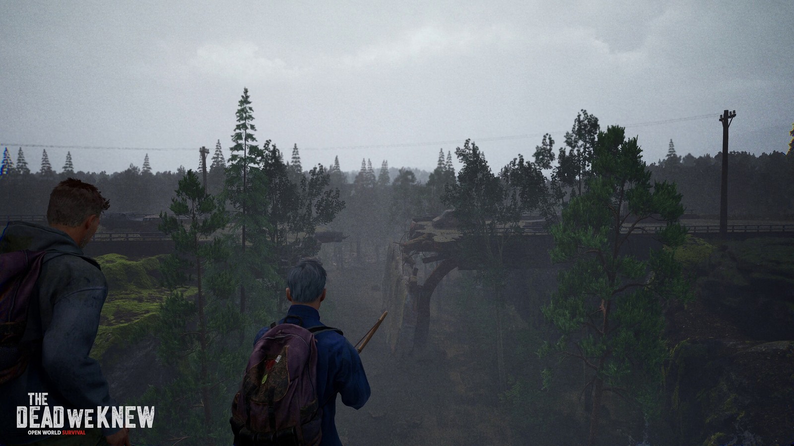 Two survivors overlooking a foggy valley with a collapsed bridge