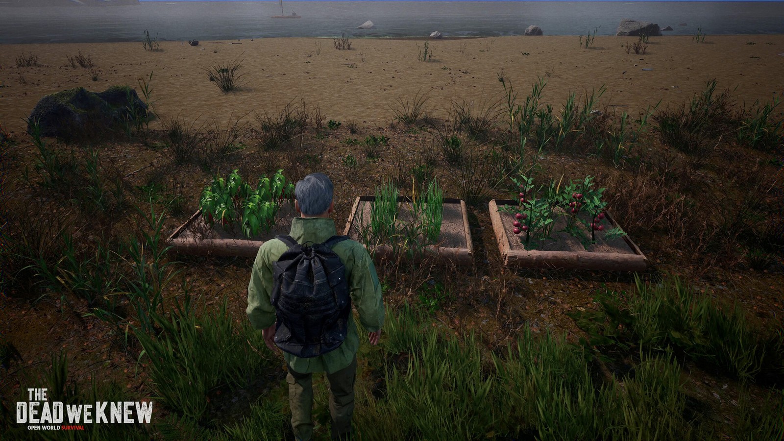 Three wooden garden plots on a coastal shoreline